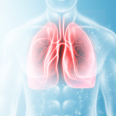 Respiratory Medicine 2025